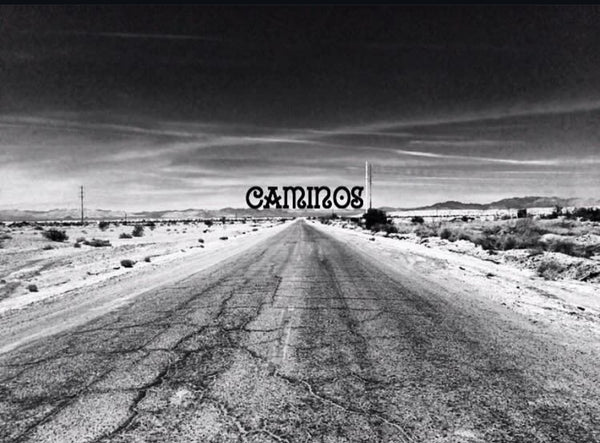 Caminos project